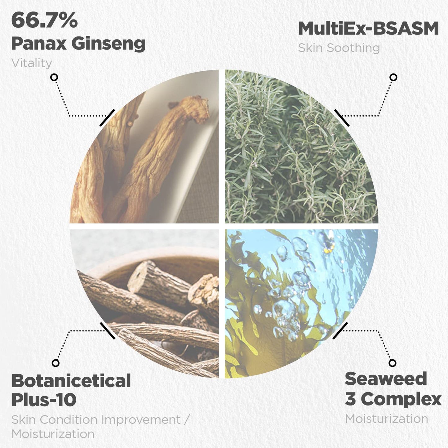 Natural Repair Serum - Hydrating & Nourishing Face Serum with Ginseng Extract - Antioxidant & Rejuvenating - Highly Concentrated Formula for Night Treatment - Skin Irritation Free, 1.01 fl.oz.